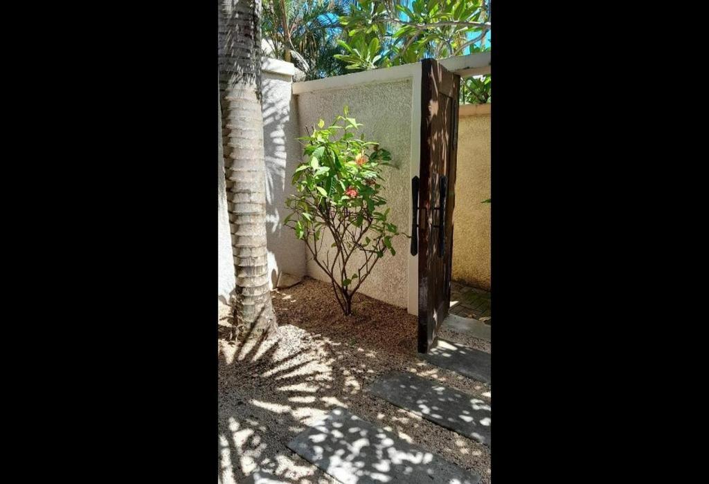 Oasis 1 Villa Tropicale Grand Baie Exterior foto